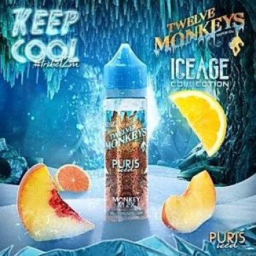 PURIS ICED E LIQUID BY 12 MONKEYS 50ML 70VG