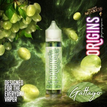 GATTAGO ORIGINS E LIQUID BY 12 MONKEY 50ML 65VG