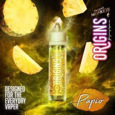 PAPOI ORIGINS E LIQUID BY 12 MONKEYS 50ML 65VG